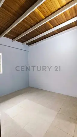 Vista 10