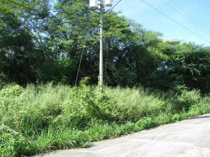 Terreno (Industrial) en Venta en Sector Industrial Cloris, Miranda
