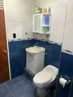 Vista 13