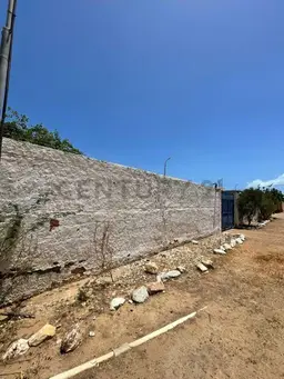 Vista 9