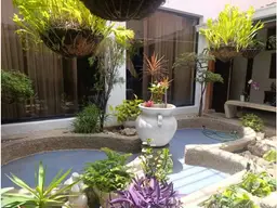 Vista 6