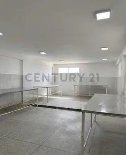Vista 1