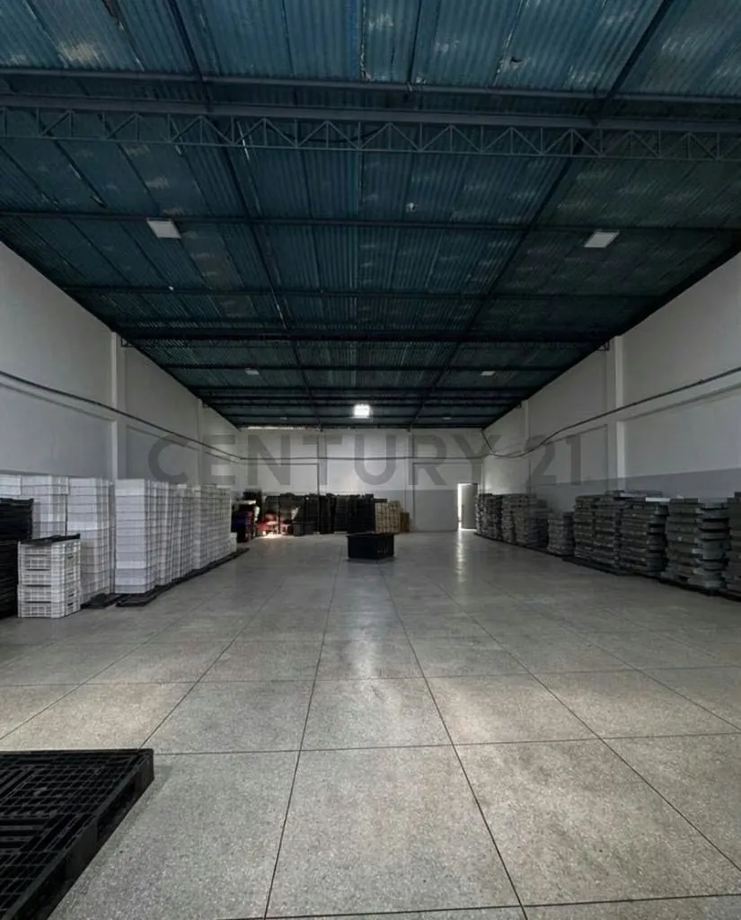 Complejo industrial multifuncional ideal para proceso de alimentos en Cumaná - 2