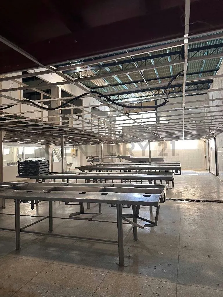 Complejo industrial multifuncional ideal para proceso de alimentos en Cumaná - 6