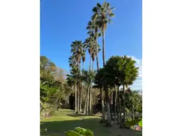 Vista 21