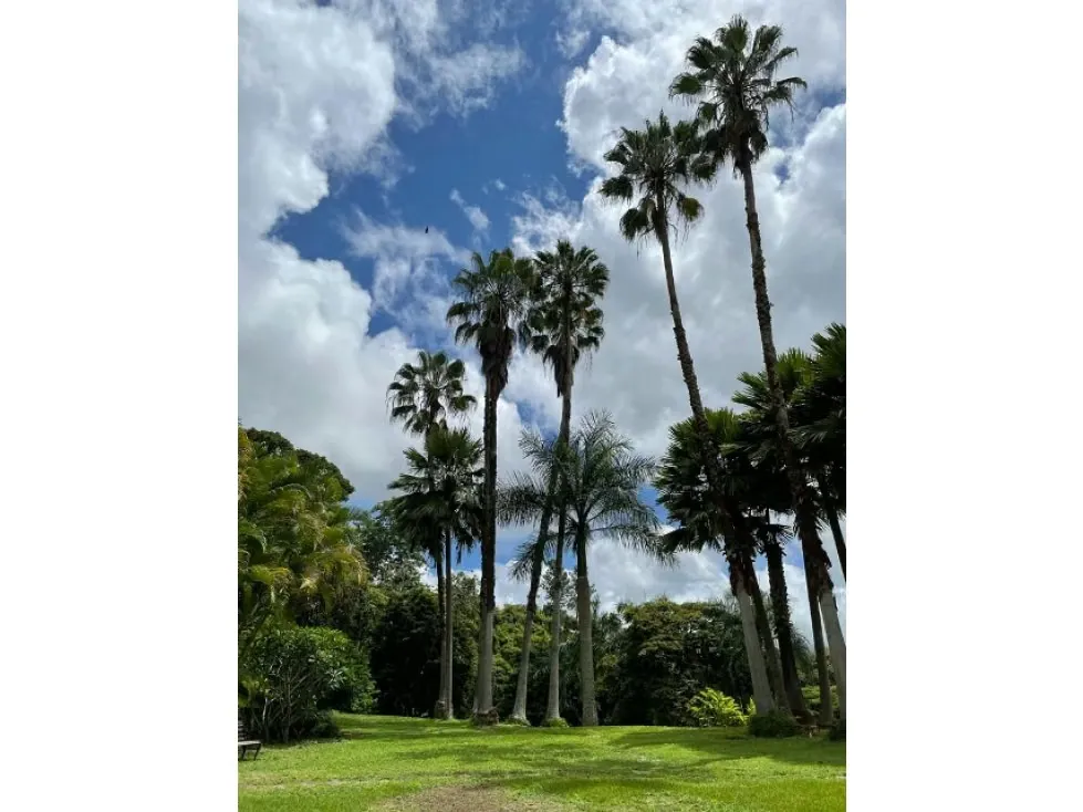 Casa de 1.830mts2 en venta incluye 4h/3b/6E en La Lagunita - El Hatill - 28