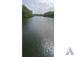 View 36