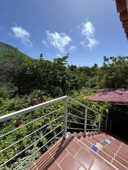 Vista 1