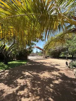 Vista 12
