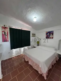Vista 24