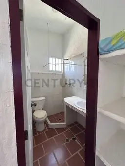 Vista 26