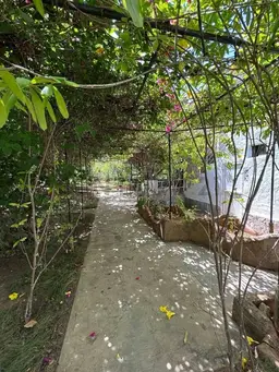 Vista 32