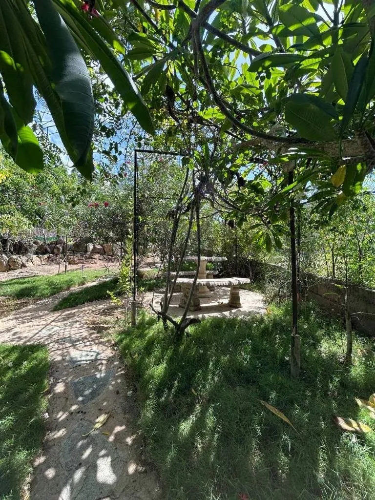 Terreno con Casa con apartamentos a pie de montaña en Guacuco - 8
