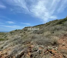 Vista 12