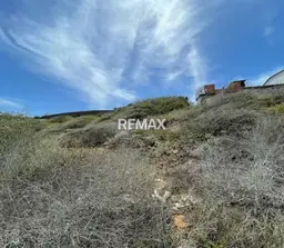 Vista 6