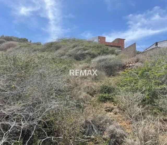 INVIERTE EN LA CUEVA DEL BUFÓN: EN VENTA TERRENO DE 576M² CON VISTA AL MAR EN LAS SALINAS DE PAMPATAR. ¡EL LUGAR PERFECTO PARA TU PRÓXIMO PROYECTO RESIDENCIAL O TURÍSTICO EN MARGARITA! - 8