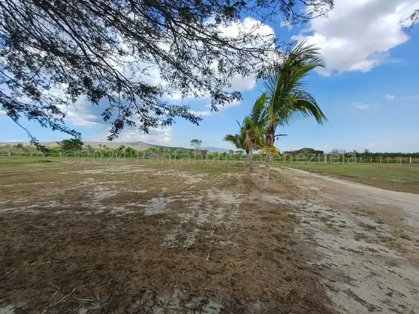 Terreno (Comercial) en Venta en Municipio Peña, Yaracuy