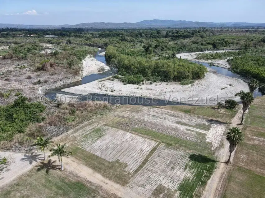 Terreno (Comercial) en Venta en Municipio Peña, Yaracuy - 16