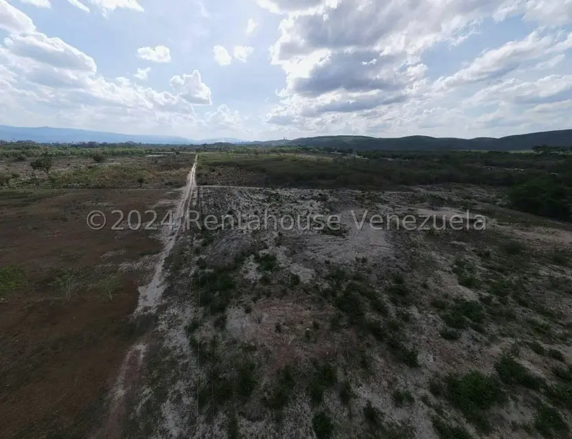 Terreno (Comercial) en Venta en Municipio Peña, Yaracuy - 17