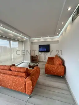 Vista 17