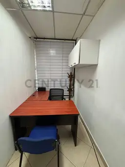 Vista 5