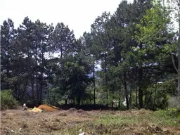 View 1