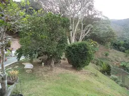 Vista 61
