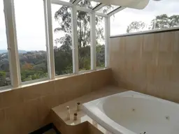 Vista 49