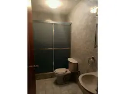 Vista 12