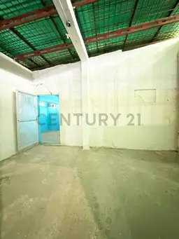 Vista 5