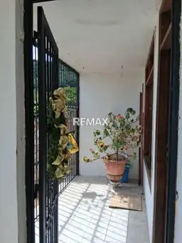 Vista 5