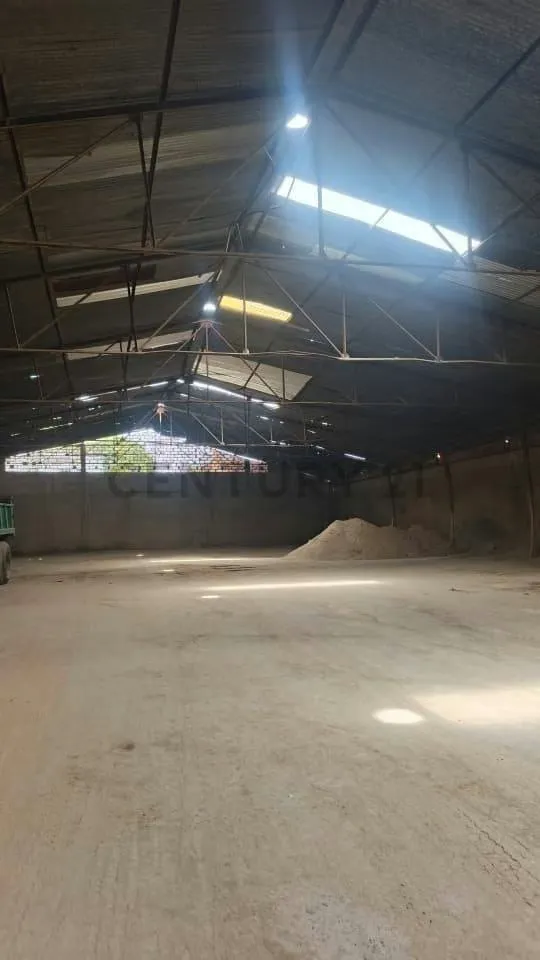 Venta de Galpón y Local - 3