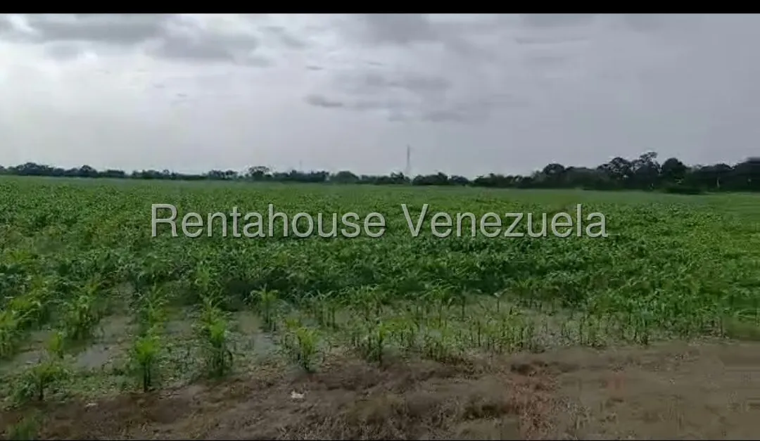 Terreno (Industrial) en Venta en Turen, Portuguesa - 4