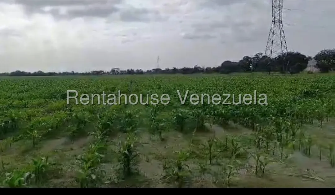 Terreno (Industrial) en Venta en Turen, Portuguesa - 5