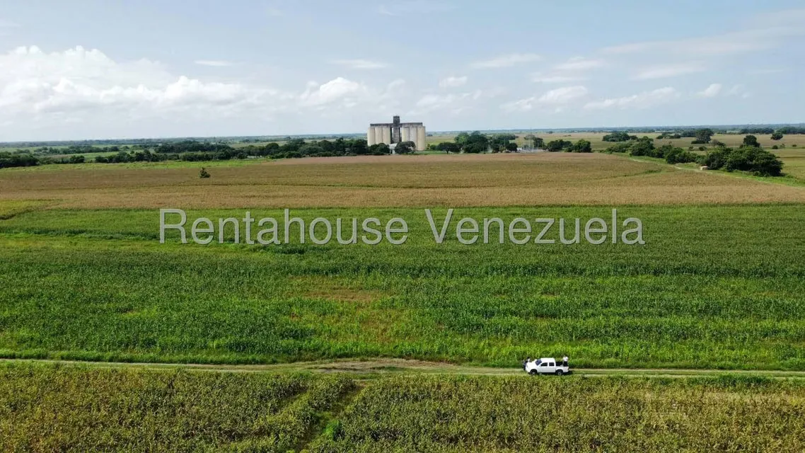 Terreno (Industrial) en Venta en Turen, Portuguesa - 9