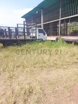 View 5