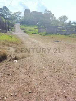 View 6