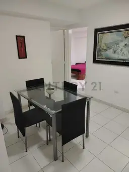 Vista 11