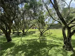 View 24