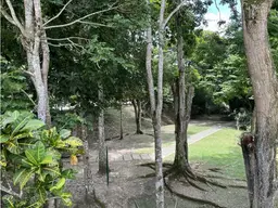 View 26