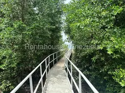 Vista 4