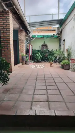 Vista 19