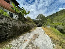 Vista 46