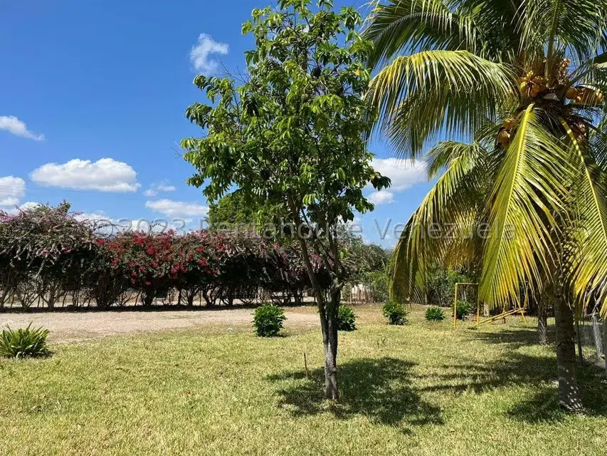 Terreno (Comercial) en Venta en Municipio Moran, Lara - 23