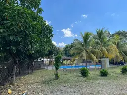 Vista 4