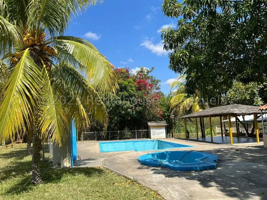 Terreno (Comercial) en Venta en Municipio Moran, Lara - 5