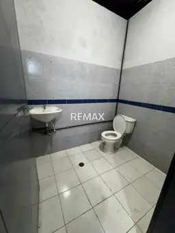 Vista 16