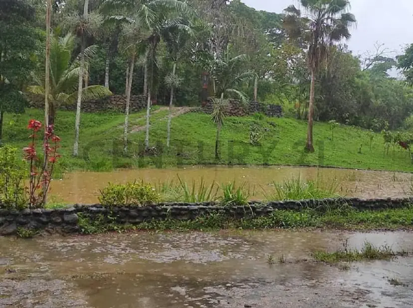 finca en venta las lapas