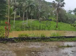 Vista 1