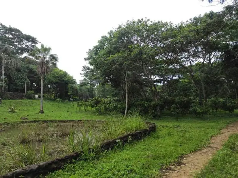 finca en venta las lapas - 3